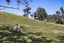 543 Mataro Road, Onaero, Urenui - Carousel 43
