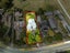 34 Totara Road, Whenuapai, Auckland - Carousel 25