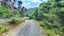 48 Schoolhouse Bay Road, Kawau Island, Hauraki Gulf Islands, Auckland - Carousel 20