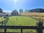 10844 Route 52, Pongaroa - Carousel 3