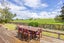 1377 Orini Road, Taupiri, Waikato, Waikato - Carousel 26