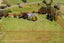 199 Deep Creek Road, Reporoa - Carousel 2