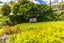 17 Tautari Street, Orakei, Auckland - Carousel 19