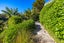 31 Miro Road, Palm Beach, Waiheke Island - Carousel 38