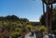207 Kaiteriteri-Sandy Bay, KAITERITERI, MOTUEKA - Carousel 17