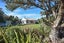 31 Stewart Street, Waikouaiti, Waikouaiti - Carousel 2