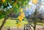 322 Waingake Road, Manutuke - Carousel 15