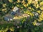 100 Bachelors Road, Little River, Little River - Carousel 8