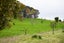 2212 Matawai Road, Te Karaka, Te Karaka - Carousel 8