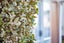 41B Wellington Street, Hamilton East, Hamilton - Carousel 38