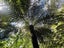 275 Lillis Lane, Coromandel, Coromandel - Carousel 38
