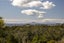 212 Carter Road, Oratia, Auckland - Carousel 2