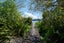 7 Pearce Place, Kinloch - Carousel 20