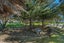 61-63 Pohutukawa Avenue, Ohope, Whakatane, Bay Of Plenty - Carousel 11