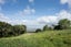 542 Ormiston Road, Flat Bush, Auckland - Carousel 6