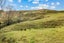 1350 State Highway 12, Oue, Kaikohe - Carousel 36