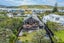 2/6 Mana Esplanade, Mana, Porirua - Carousel 26