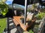 18 Tomes Lane, Favona, Auckland - Carousel 8