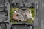 32 Byblos Place, The Gardens, Auckland - Carousel 37