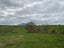 968 Kawhia Road, Tihiroa, Otorohanga - Carousel 8
