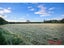 73 Grove Farm Road, Tinwald, Ashburton - Carousel 29