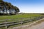 1306 Normanby Road, Hawera - Carousel 44