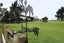 31 Woodlands South Road, Woodlands, Invercargill - Carousel 23
