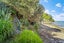 61 Grand View Road, Leigh, Rodney, Auckland - Carousel 24
