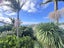 71 William Bayes Place, Red Beach, Rodney, Auckland - Carousel 20