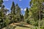 215 Konini Road, Titirangi, Auckland - Carousel 28