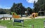 17B Rangatira Road, Birkdale, North Shore City, Auckland - Carousel 20