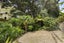 24 Hillcrest Grove, Hillpark, Auckland - Carousel 18