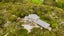 129 Stoney Creek Drive, Henderson - Carousel 39