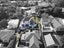 450 River Road, Fairfield, Hamilton - Carousel 2