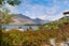 23 Golden Terrace, Queenstown, Queenstown - Carousel 21