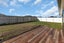 31 Kapiakauri Road, One Tree Point - Carousel 20