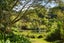 99B Rea Road, Katikati - Carousel 24