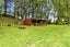546 Henderson Road, Whakamaru, Mangakino - Carousel 22