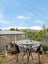 66B MacLaggan Street, Dunedin Central, Dunedin - Carousel 10