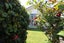 31A Elizabeth Street, Matamata - Carousel 3