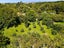 447 Poripori Road, Lower Kaimai, Tauranga - Carousel 28