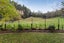 177 Forest Hill Road, Aokautere, Palmerston North - Carousel 37