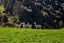 549 Mataro Road, Onaero, Urenui - Carousel 24