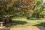 436 Jacksons Line, Mauriceville, Masterton - Carousel 25