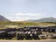 33 Ryan Loop, Jacks Point, Queenstown - Carousel 3
