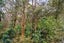 271 Apotu Road, Kamo - Carousel 7