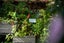 37 Tiketike Way, Brooklyn, Wellington - Carousel 16