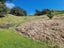 21 Omahu Nui Way, Ōakura, Hikurangi - Carousel 5