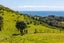 88A Onetangi Road, Onetangi, Waiheke Island, Auckland - Carousel 22