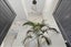 71A Hebron Road, Waiake, Auckland - Carousel 28